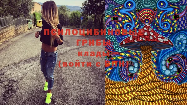 синтетический гашиш Бородино