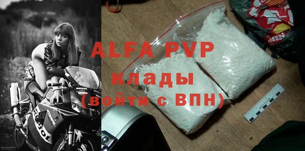 стафф Надым