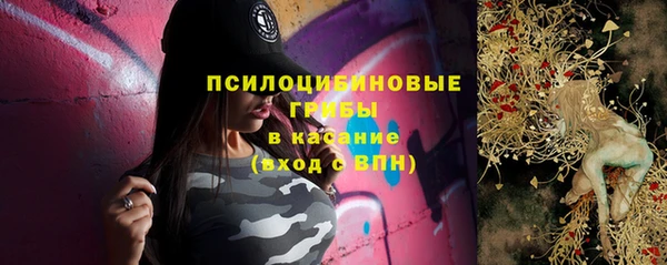 синтетический гашиш Бородино