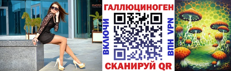 Псилоцибиновые грибы Psilocybine cubensis  Городец 